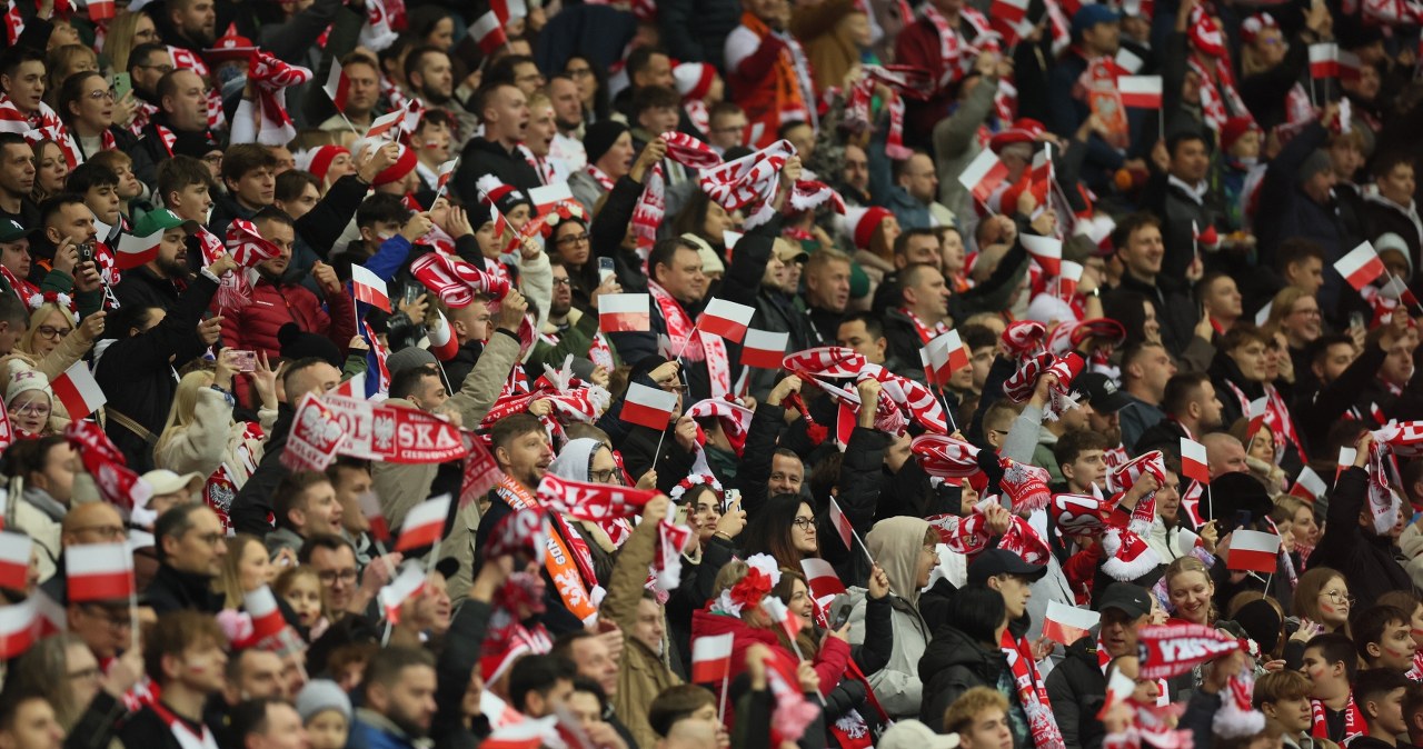 Polscy kibice zatrzymani na Malcie, policja w akcji. Interwencja na lotnisku