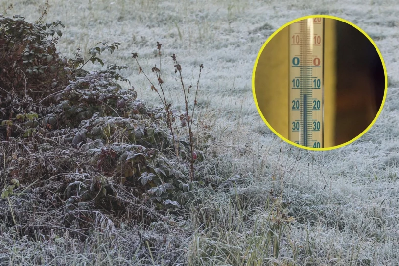 Za mroźną zimę zapłacą klienci. Rolnicy nie ukrywają czarnego scenariusza