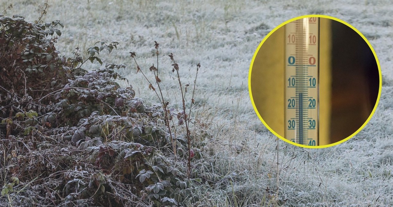 Za mroźną zimę zapłacą klienci. Rolnicy nie ukrywają czarnego scenariusza