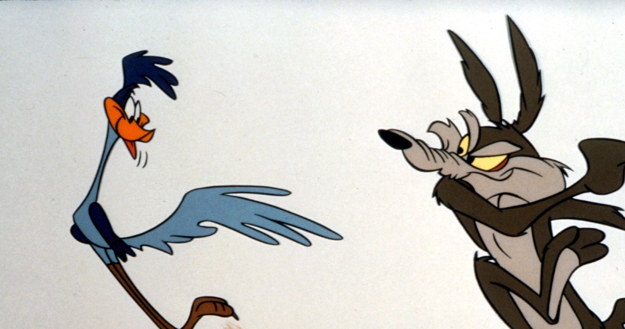 To nie Struś Pędziwiatr zawsze jest górą. Kojot nie jest z nim bez szans