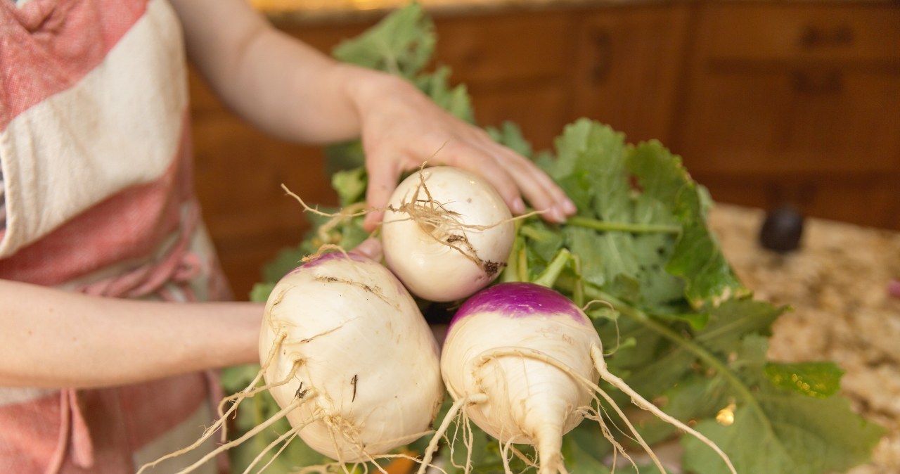 Do zup, sałatek, kanapek. Działa zbawiennie na cały organizm