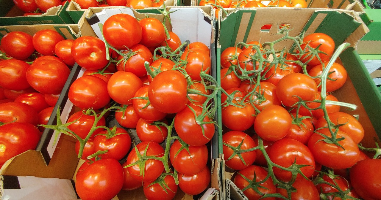 Sztucznie dojrzewające pomidory w polskich sklepach. Biedronka odpowiada