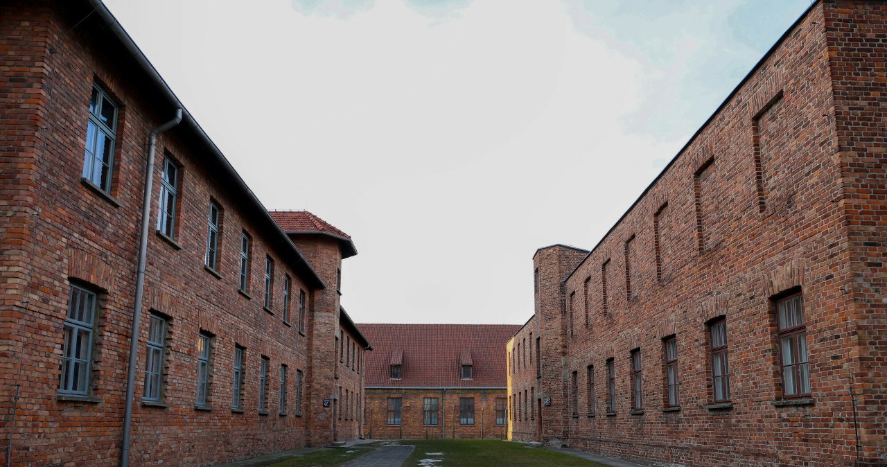 Kontrowersje wokół aukcji w Niemczech. Skrucha i ubolewanie organizatorów