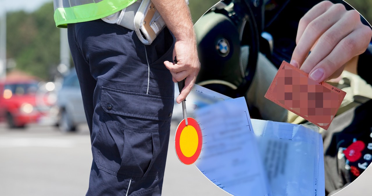 Kreatywność level: Monopoly. Kierowca próbował uniknąć mandatu… kartą do gry