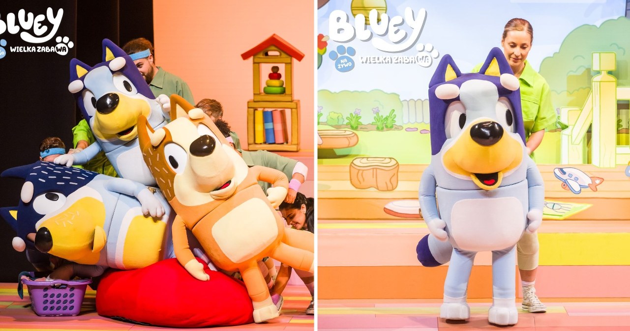 Serialowa Bluey na żywo w Polsce! Zobacz "Bluey Wielka Zabawa"