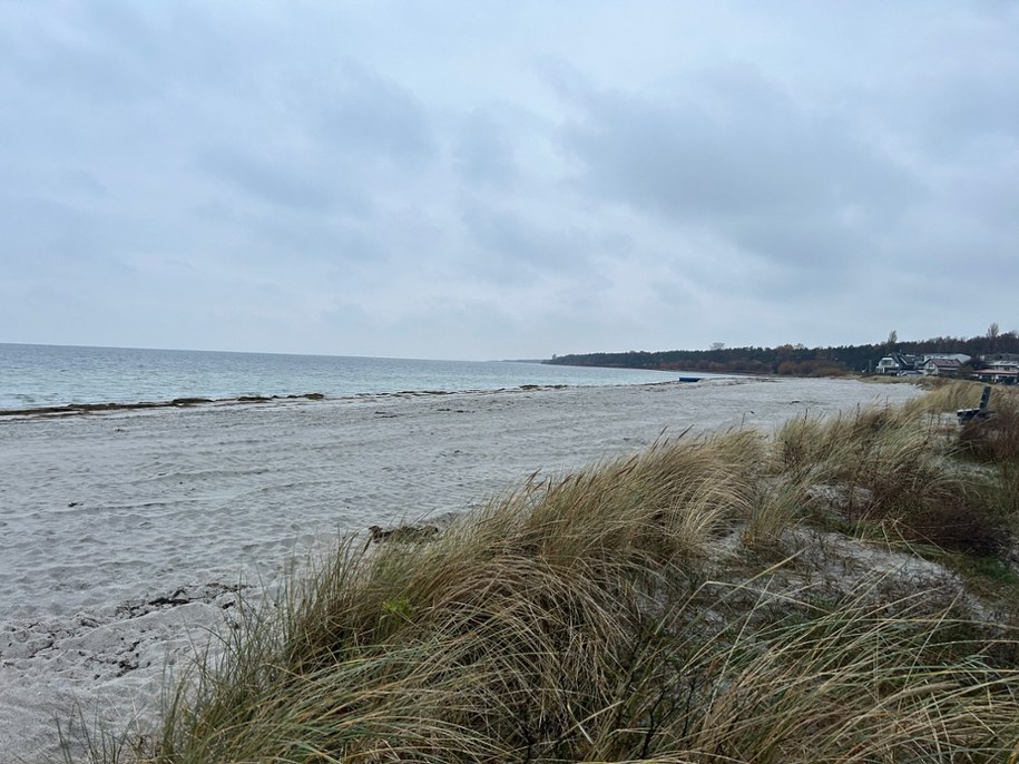 /Stanisław Pawłowski /RMF FM