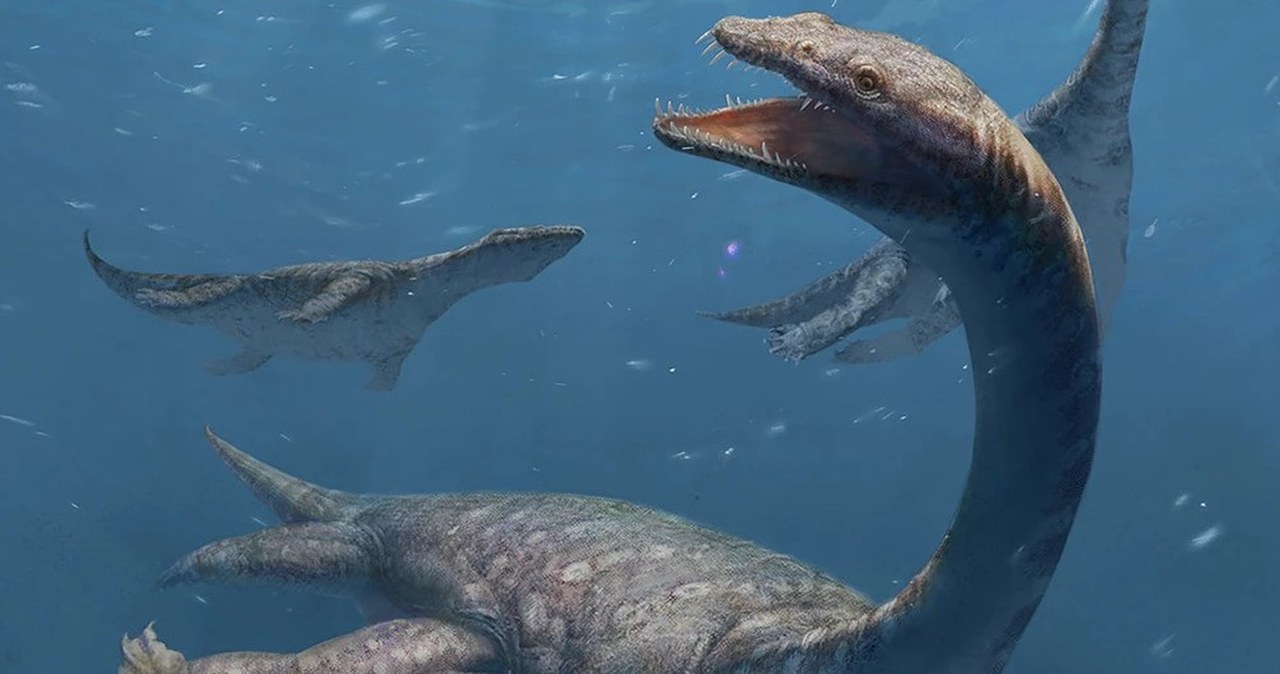 Potwór niczym z Loch Ness odkryty w Chinach. Szyja miała aż 42 kręgi