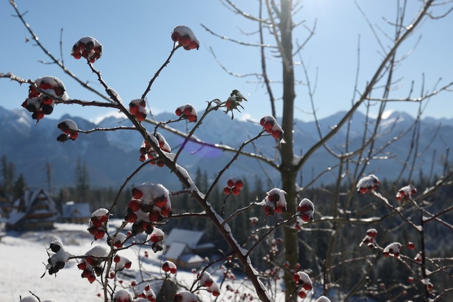 /Grzegorz Momot /PAP