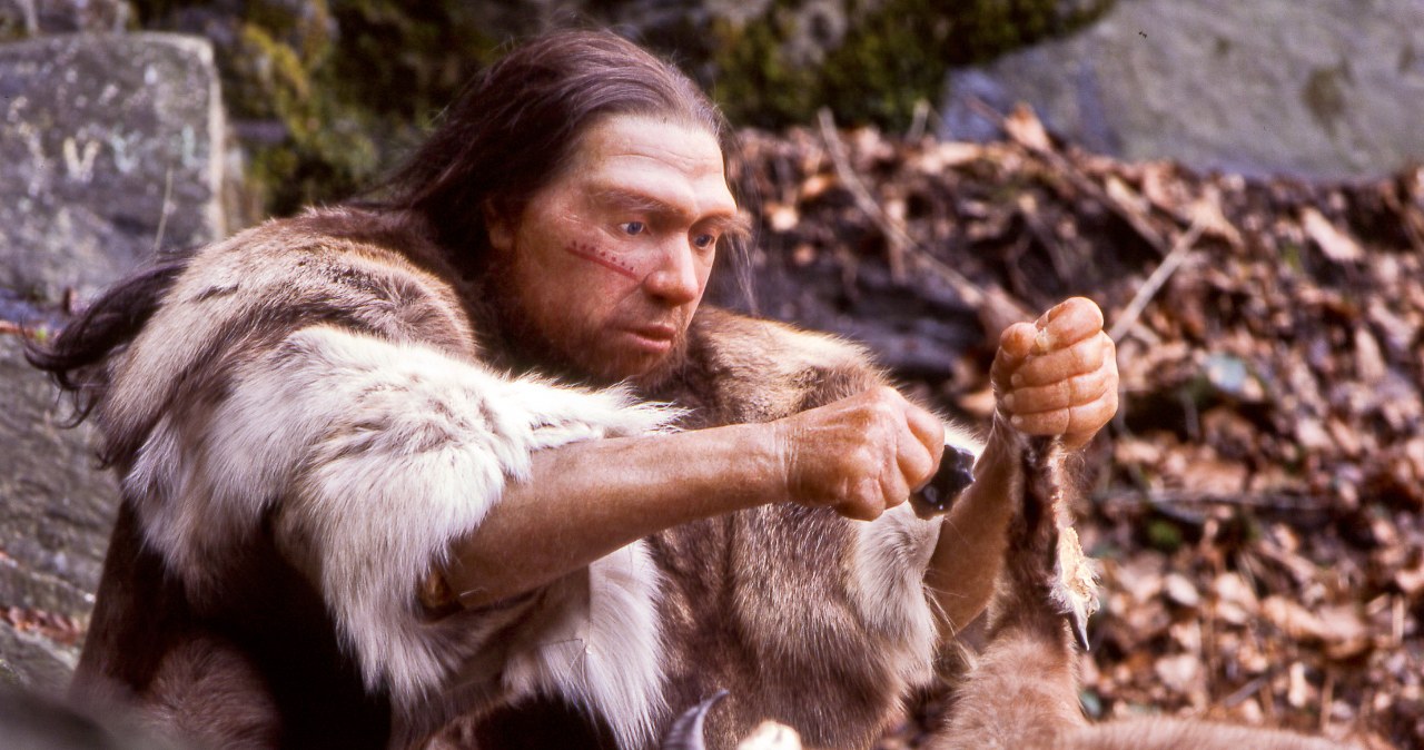 Zjadali kobiety i dzieci. Ślady zbrodni sprzed 45 tys. lat