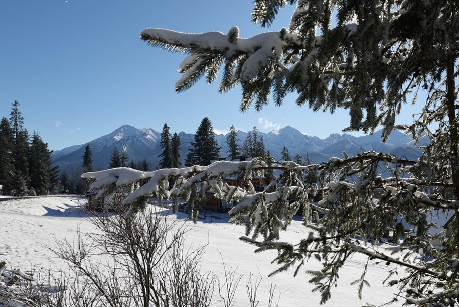 /Grzegorz Momot /PAP