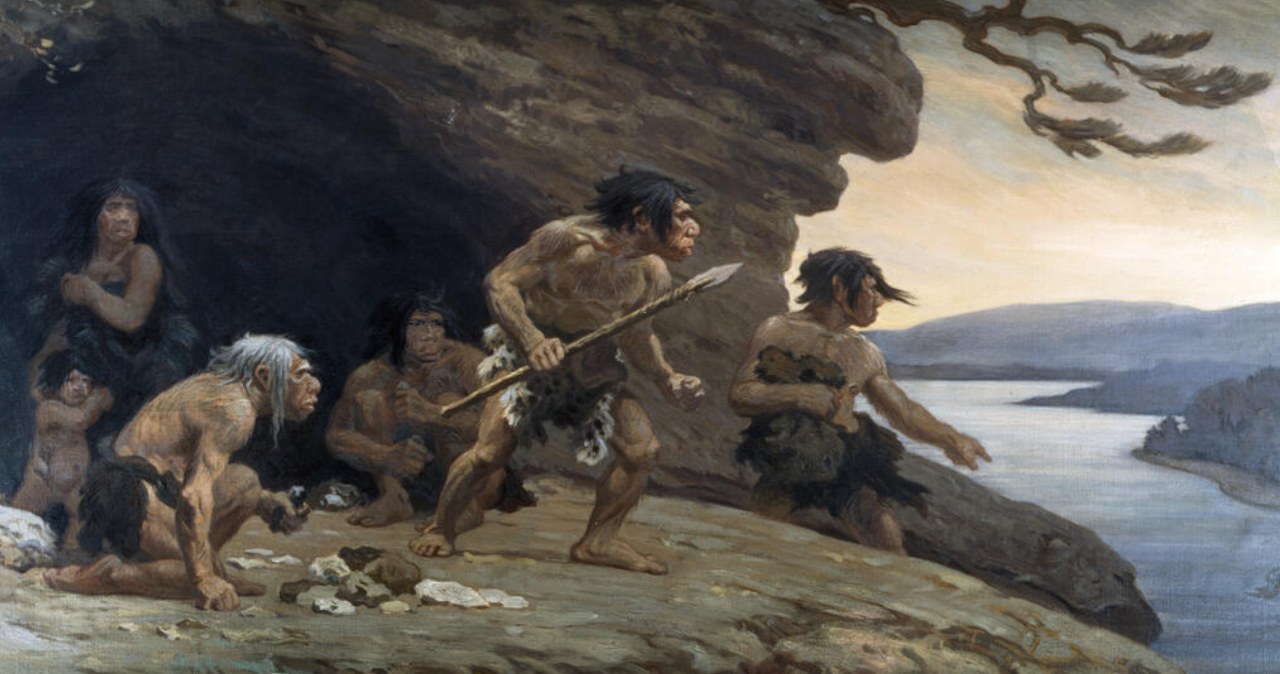 Neandertalczycy nie wyginęli? Nowe badanie rozpaliło umysły naukowców