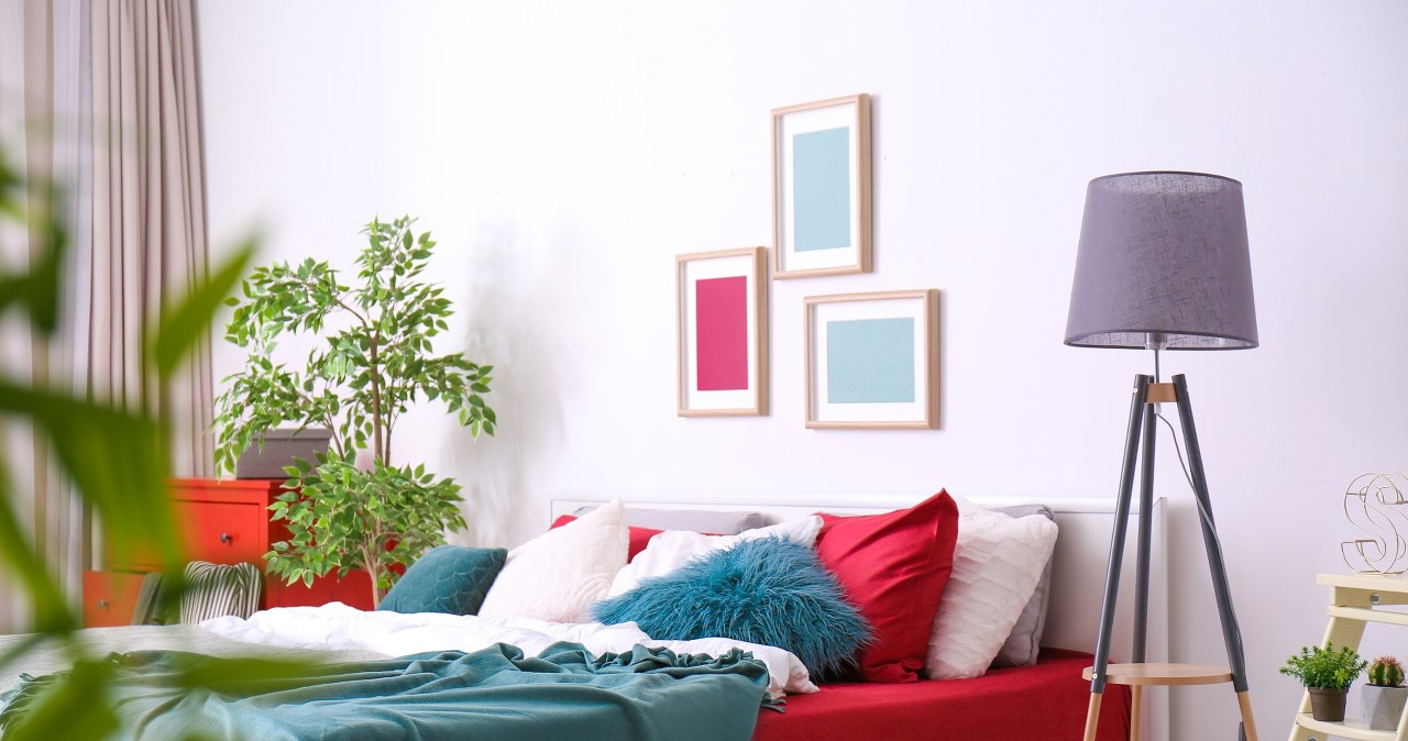 Musisz mieć je w domu. Zapewniają dobrobyt i szczęście w miłości