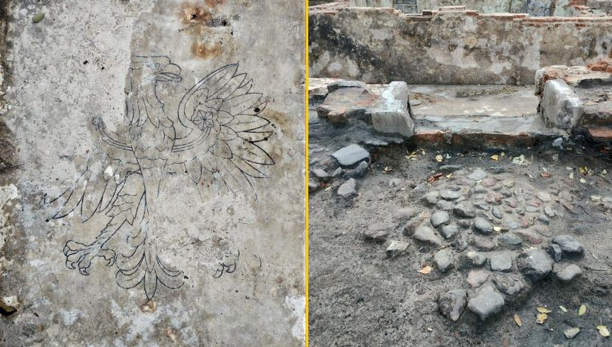 Odkrycie archeologiczne w Warszawie. Polskie godło na podłodze piwnicy