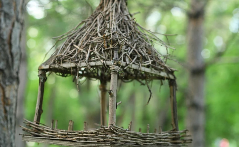 Szybki karmnik z gałązek brzozy. Tani i ekologiczny