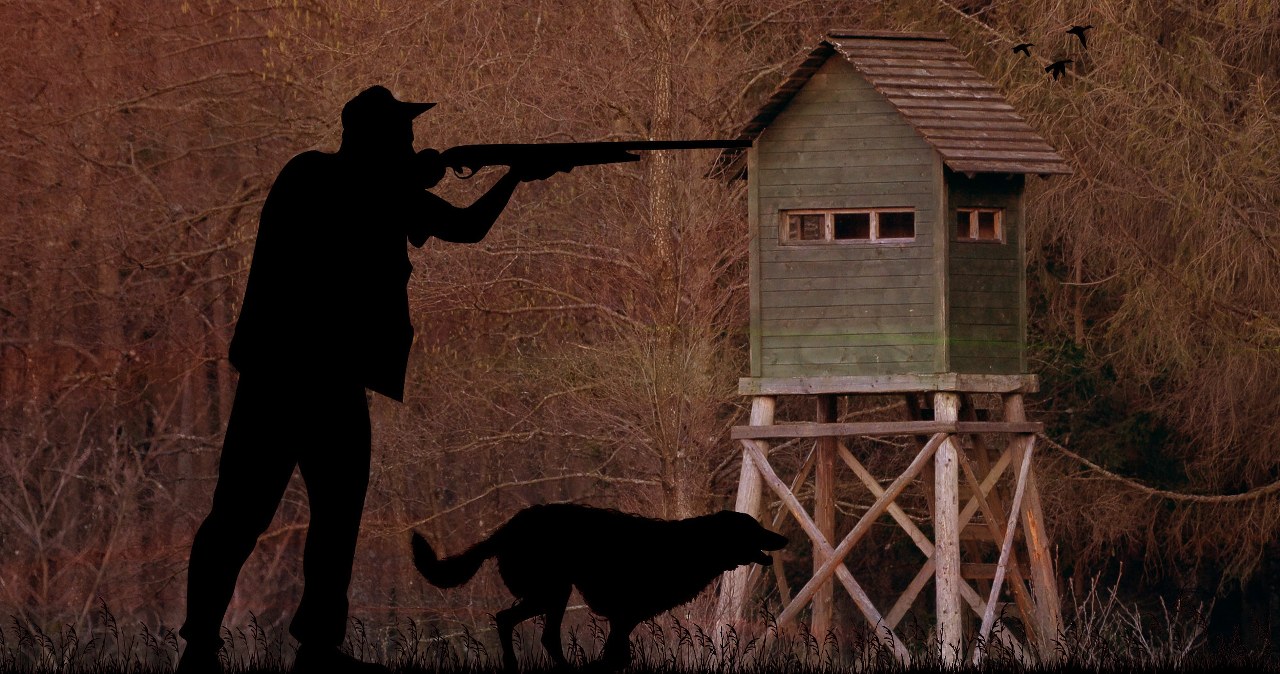 Myśliwi reagują po ujawnieniu procederu. "Trzeba nazwać wprost"