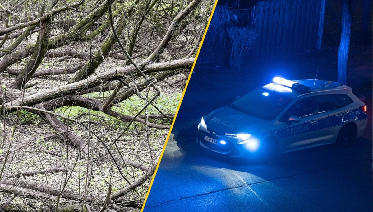 Nietypowa interwencja policji w okolicach Ostrołęki (woj. mazowieckie). Funkcjonariusze dostali informację o mężczyźnie, który zaginął w lesie. Gdy go odnaleziono, próbował wprowadzić stróżów prawa w błąd. Miał ku temu konkretny powód.