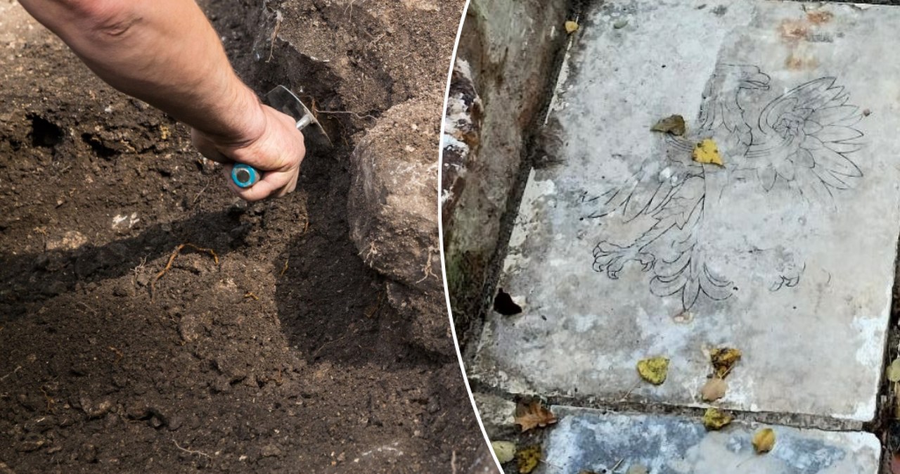 Wykopaliska w Warszawie. Godło i napisy w zagadkowym pomieszczeniu