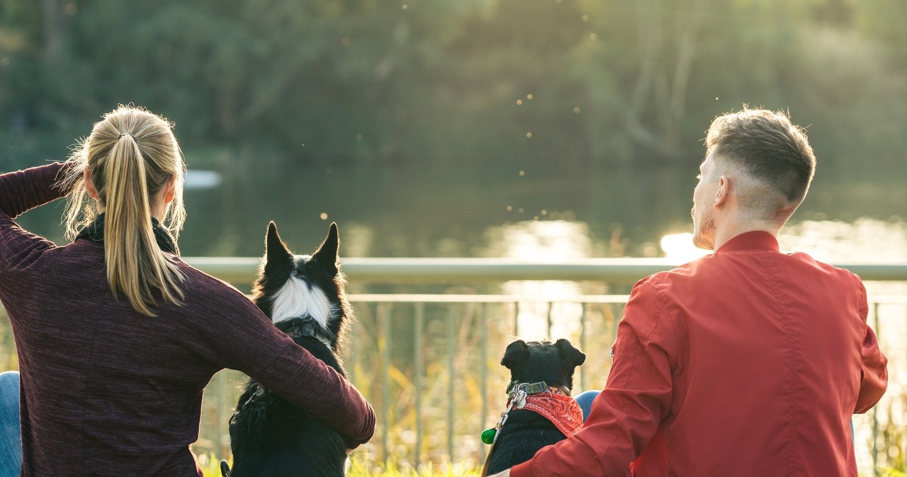Nowy sposób na znalezienie miłości? Ta aplikacja może zadziwić singli