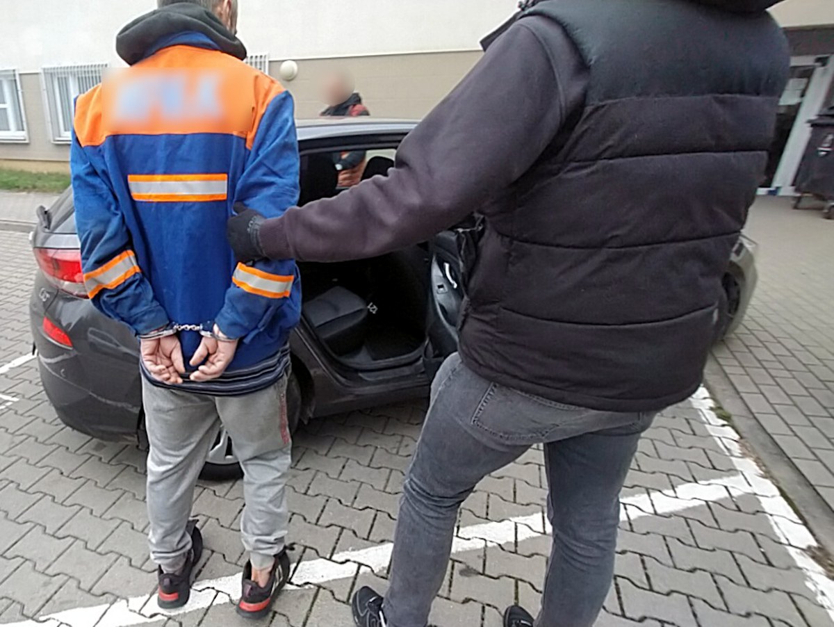Złodzieje samochodów w rękach żaboli. Usłyszeli zarzuty