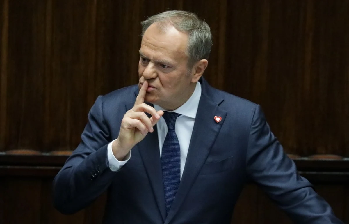 "Polacy postrzegają siebie po prostu jako wielką, godną współczucia ofiarę europejskiej historii. To bycie ofiarą jako tożsamość narodowa. Są po prostu Afroamerykanami Europy" - stwierdził działacz niemieckiej AfD Fabian Keubel. Na te słowa odpowiedział premier Donald Tusk, a swój komentarz skierował w stronę polskich polityków.