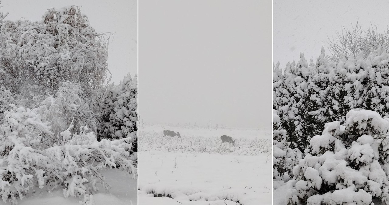 Śnieżyce na południu tworzą nowy problem. Zwiększono stopień zagrożenia