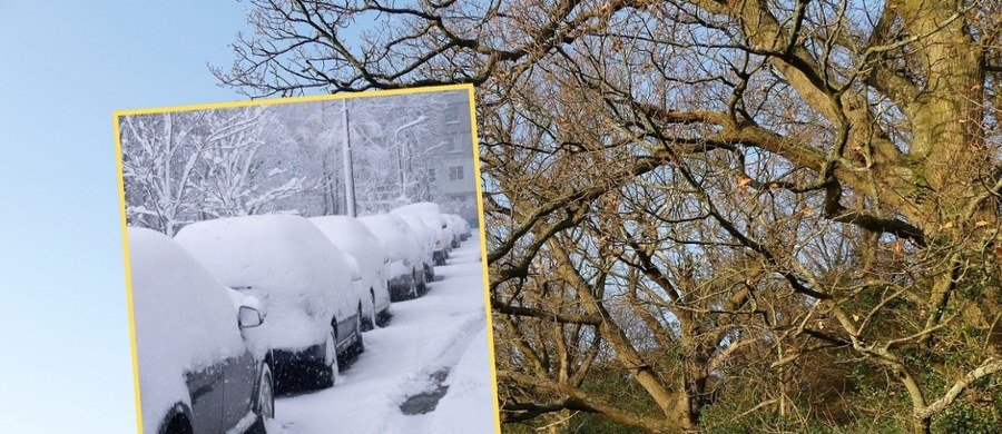 Po okresie mrozów i intensywnych opadów śniegu czeka nas wyraźna poprawa pogody. Prognozy wskazują, że już w najbliższy weekend termometry pokażą zdecydowanie wyższe wartości, wynagradzając ponure dni ze śniegiem i pluchą.