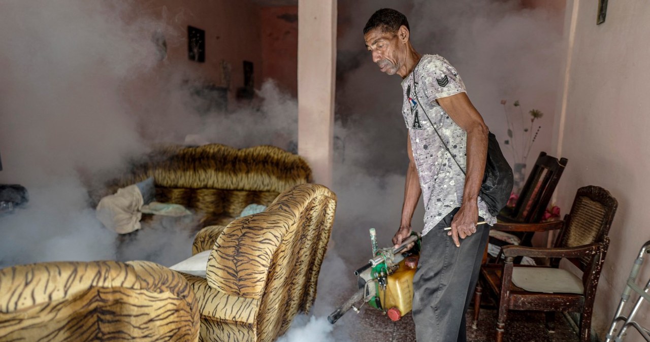 Groźny wirus wymknął się spod kontroli. Tysiące zarażonych na Karaibach