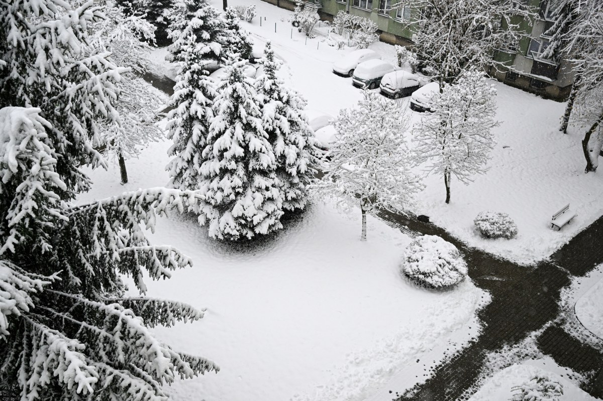 Ponad 1000 interwencji strażaków. Atak zimy na Podkarpaciu