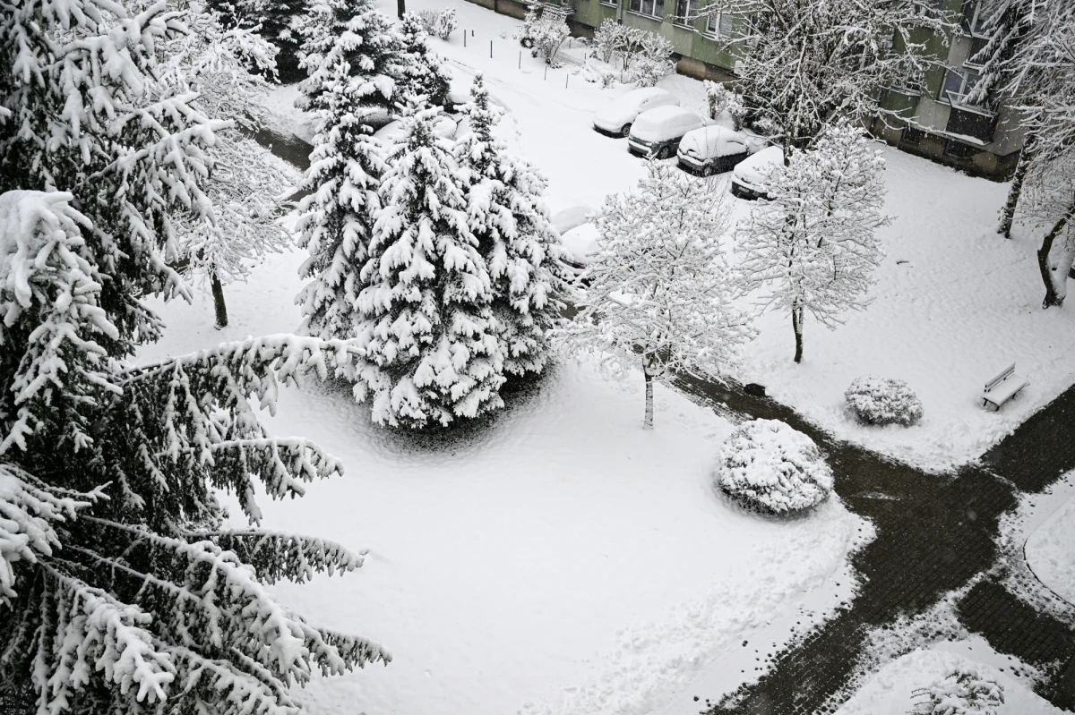 1018 razy wyjeżdżali podkarpaccy strażacy do usuwania skutków intensywnych opadów śniegu w regionie. Na szczęście nikomu nic się nie stało. 32 tys. gospodarstw wciąż nie ma prądu.