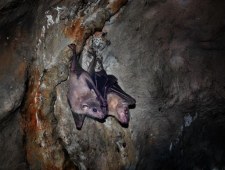 Świat dzikiej przyrody