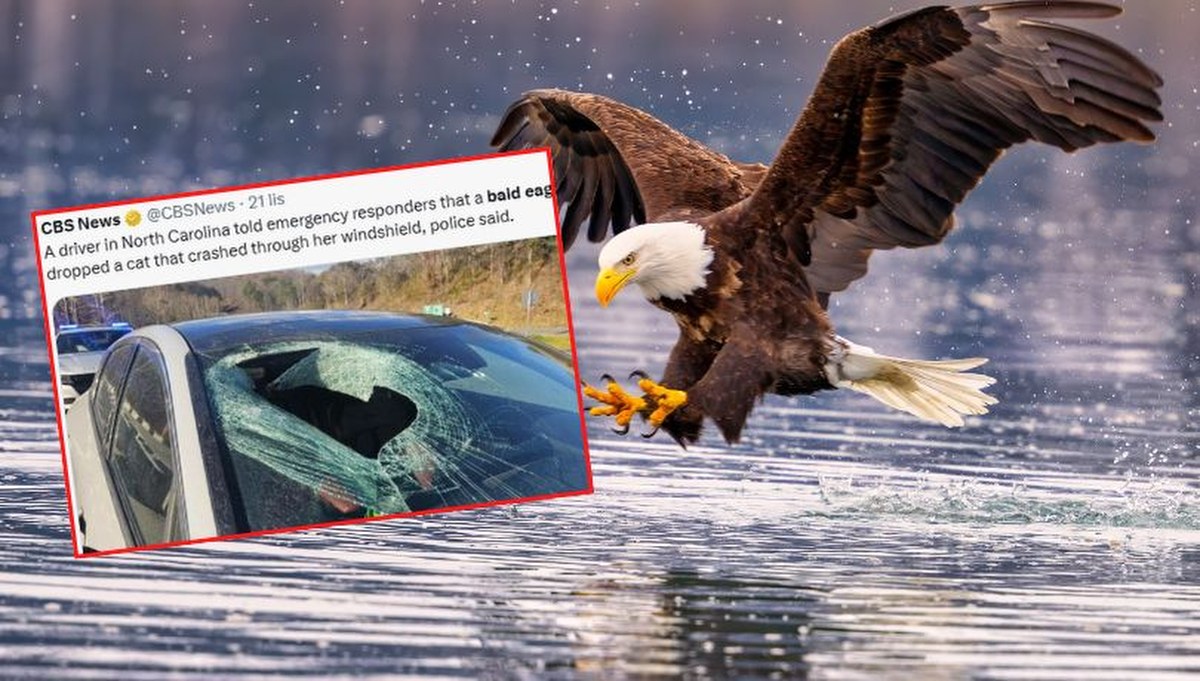 "Może mi pani nie uwierzyć". Nietypowe zgłoszenie na numer alarmowy