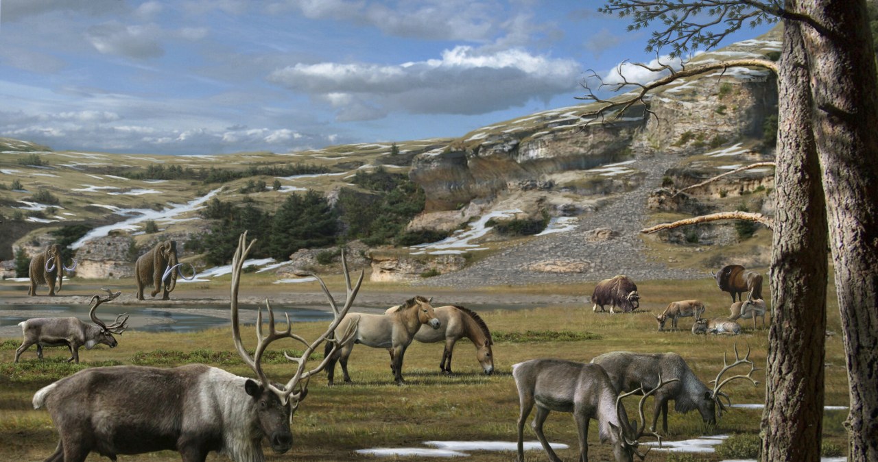 DNA ogromnego konia epoki lodowcowej zebrane z włóczni myśliwych. To rekord