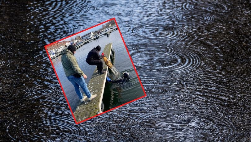 /WOPR/FACEBOOK /Shutterstock