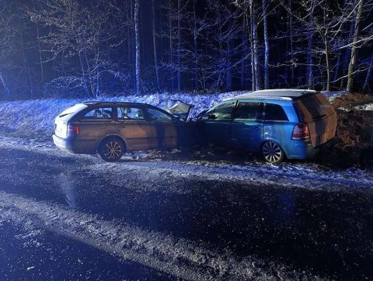 W niedzielne popołudnie w Gąbinie (powiat płocki) doszło do poważnego wypadku drogowego. Czołowo zderzyły się dwa pojazdy. Do szpitala trafiło aż siedem osób, w tym czworo dzieci. Służby ratunkowe apelują o szczególną ostrożność na drogach.
