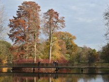 Cztery pory roku w ogrodach Kew