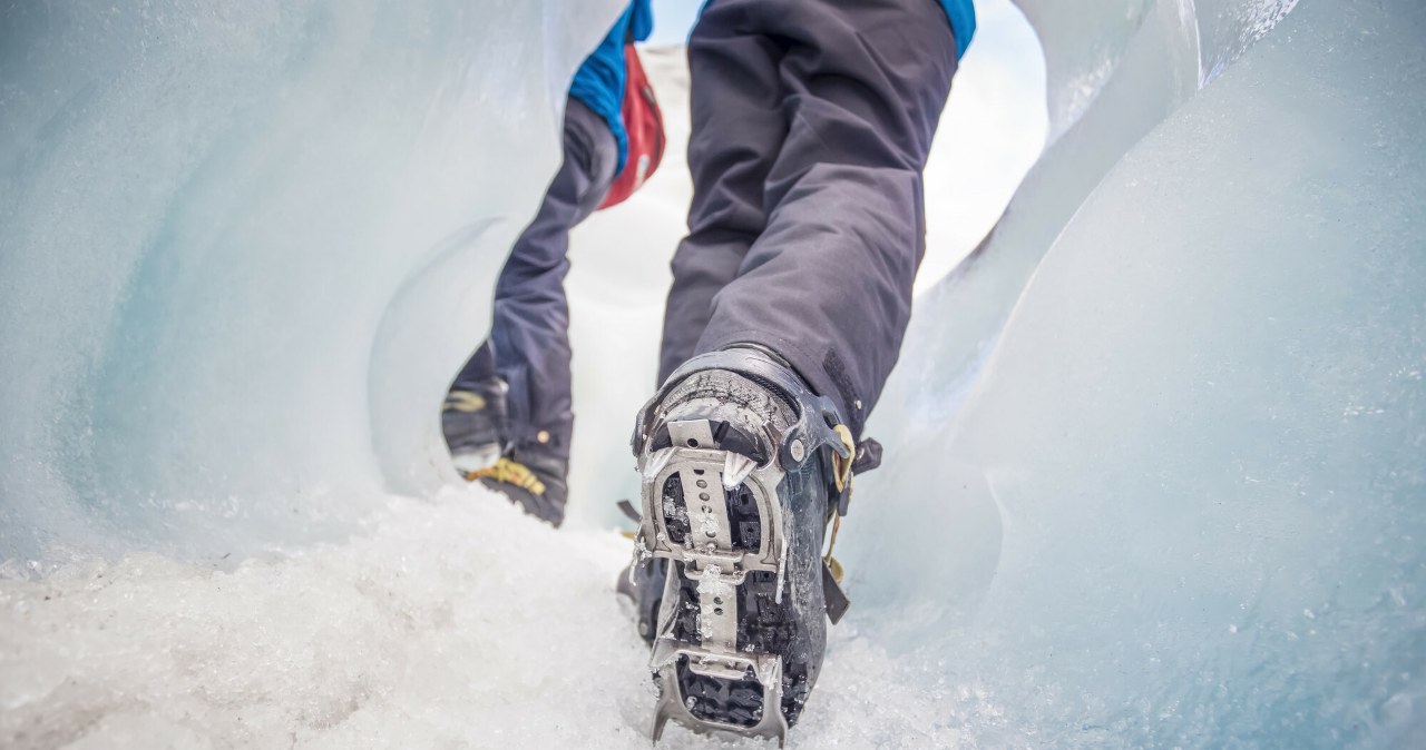 Czym się różnią raki od raczków? TPN wyjaśnia