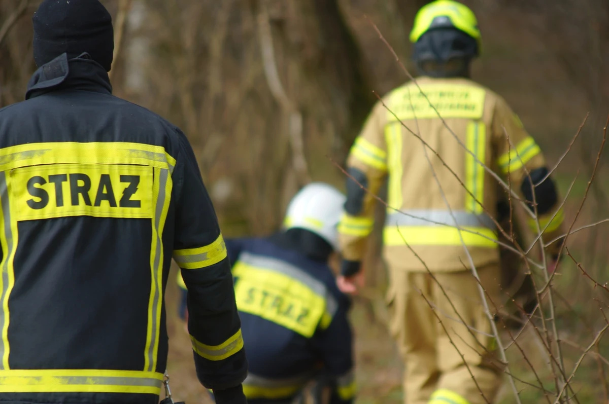 Tragiczny pożar w miejscowości Błomino-Jeże na Mazowszu. W domu, w którym pojawił się ogień, strażacy znaleźli ciało. Ustalana jest tożsamość ofiary. To już drugi w ostatnim czasie pożar domu w tej okolicy z ofiarą śmiertelną; poprzednio była to 89-latka.