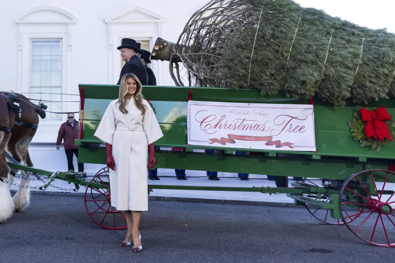 Świąteczne szaleństwo w USA. Choinka przywieziona do Białego Domu