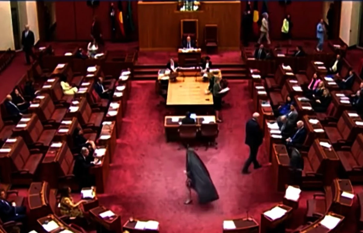 Pauline Hanson, senator prawicowej australijskiej partii Jeden Naród, wywołała polityczny skandal, pojawiając się na sali obrad parlamentu w burce. Zarzucono jej rasizm i islamofobię. Z powodu jej zachowania wstrzymano obrady.