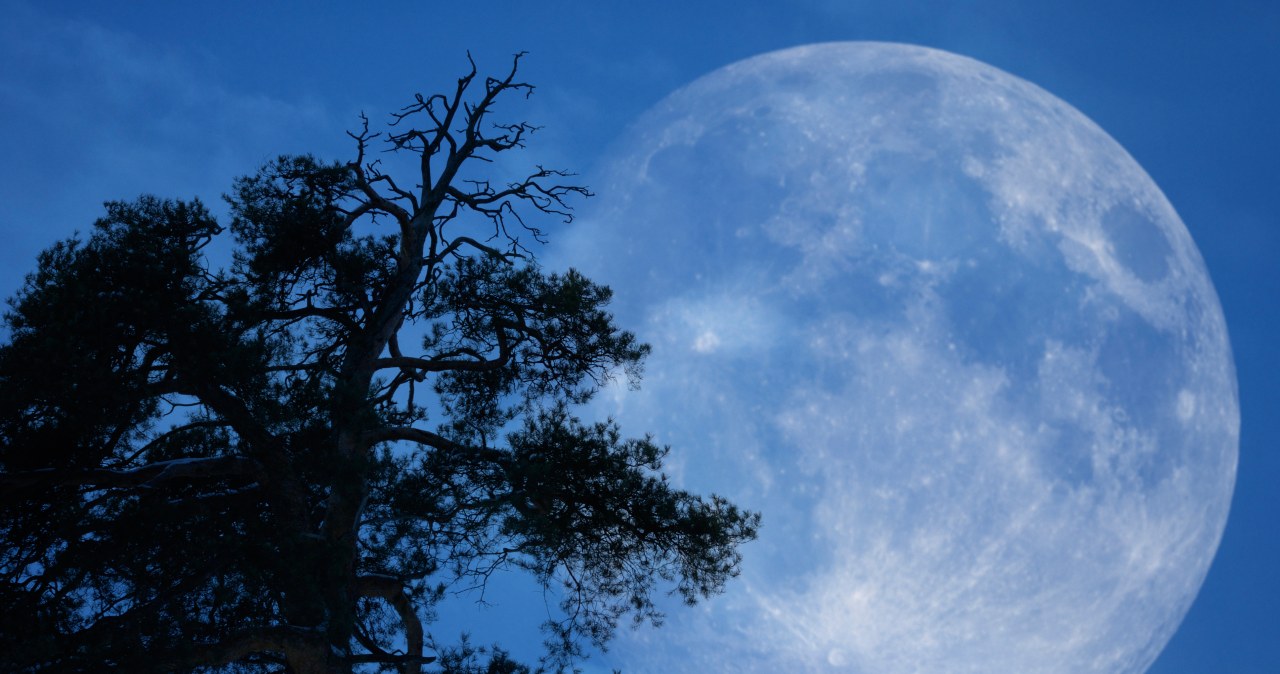 Zimny Księżyc przyniesie tym znakom zodiaku pomyślność. Jesteś wśród szczęśliwców?