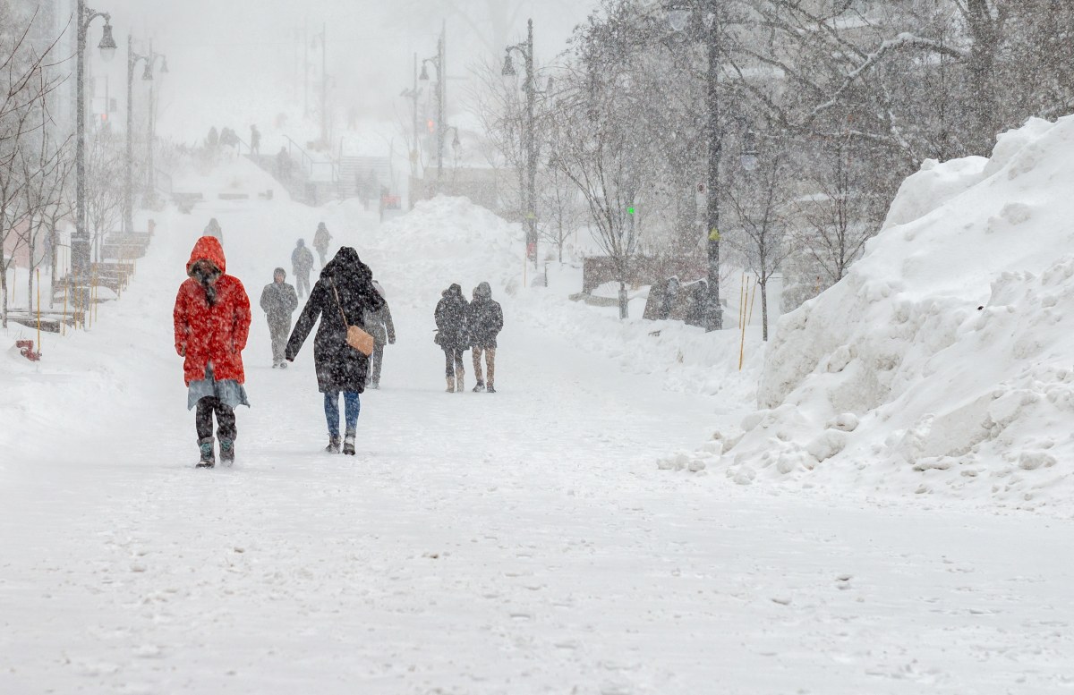 Opady śniegu to nie wszystko. IMGW wydał żółte i pomarańczowe alerty