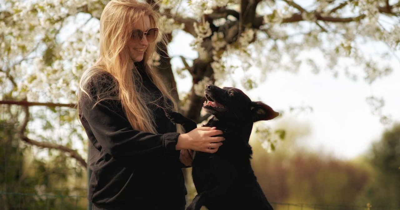 Twój pies wyje, gdy zostaje sam w domu? Specjalistka apeluje do właścicieli