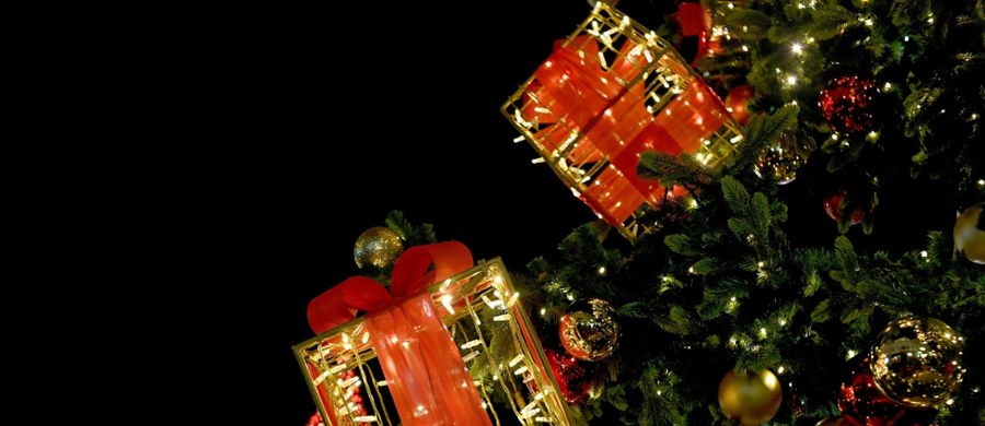 Już za miesiąc będziemy świętować Boże Narodzenie. Wiele osób z pewnością zastanawia się, czy tegoroczne święta będą białe. Piotr Salak rozmawiał o tym na antenie Radia RMF24 z rzeczniczką Instytutu Meteorologii i Gospodarki Wodnej Agnieszką Prasek. 