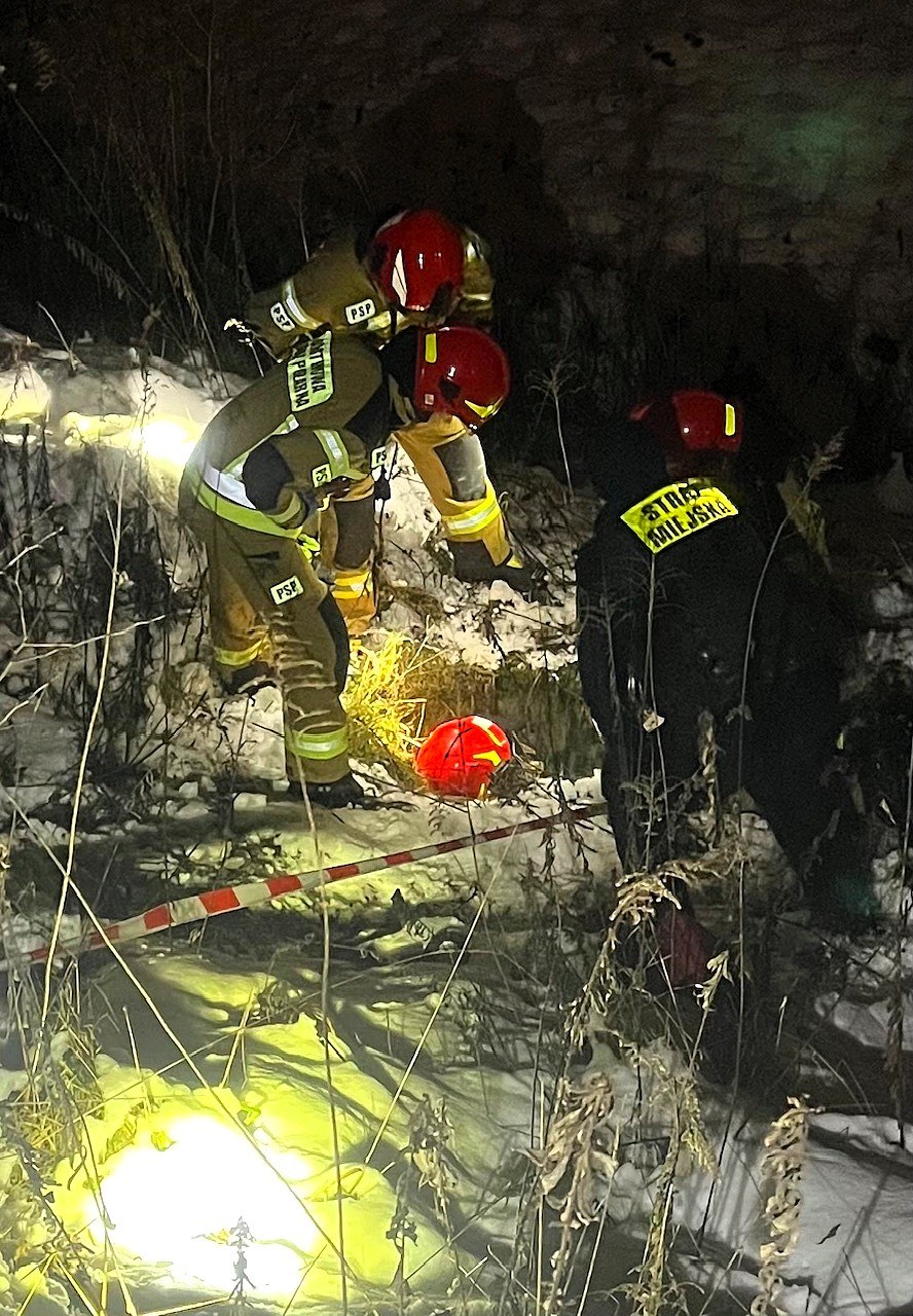 /Straż Miejska Kraków /