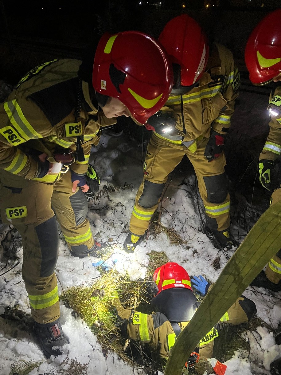 /Straż Miejska Kraków /