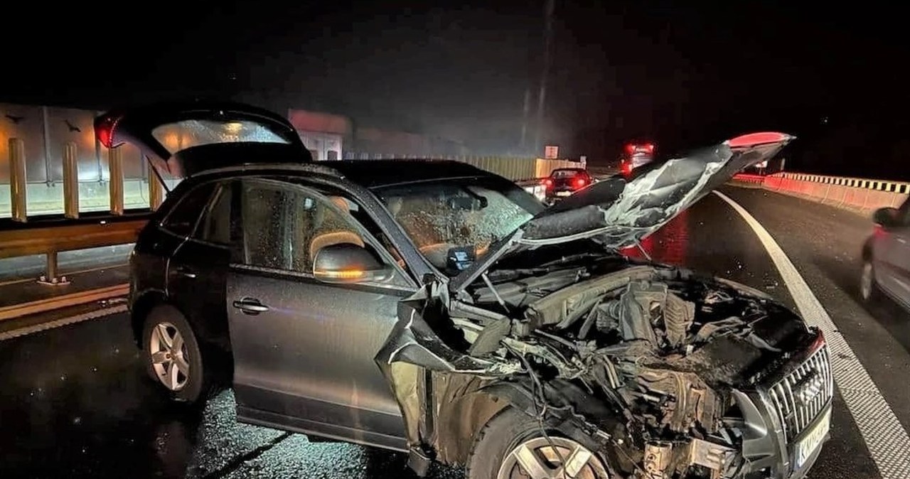 "Podstawiony" kierowca wyznał prawdę. Polityczka KO bez konsekwencji