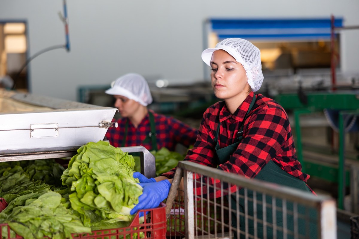 Stopa bezrobocia w Polsce ani drgnie