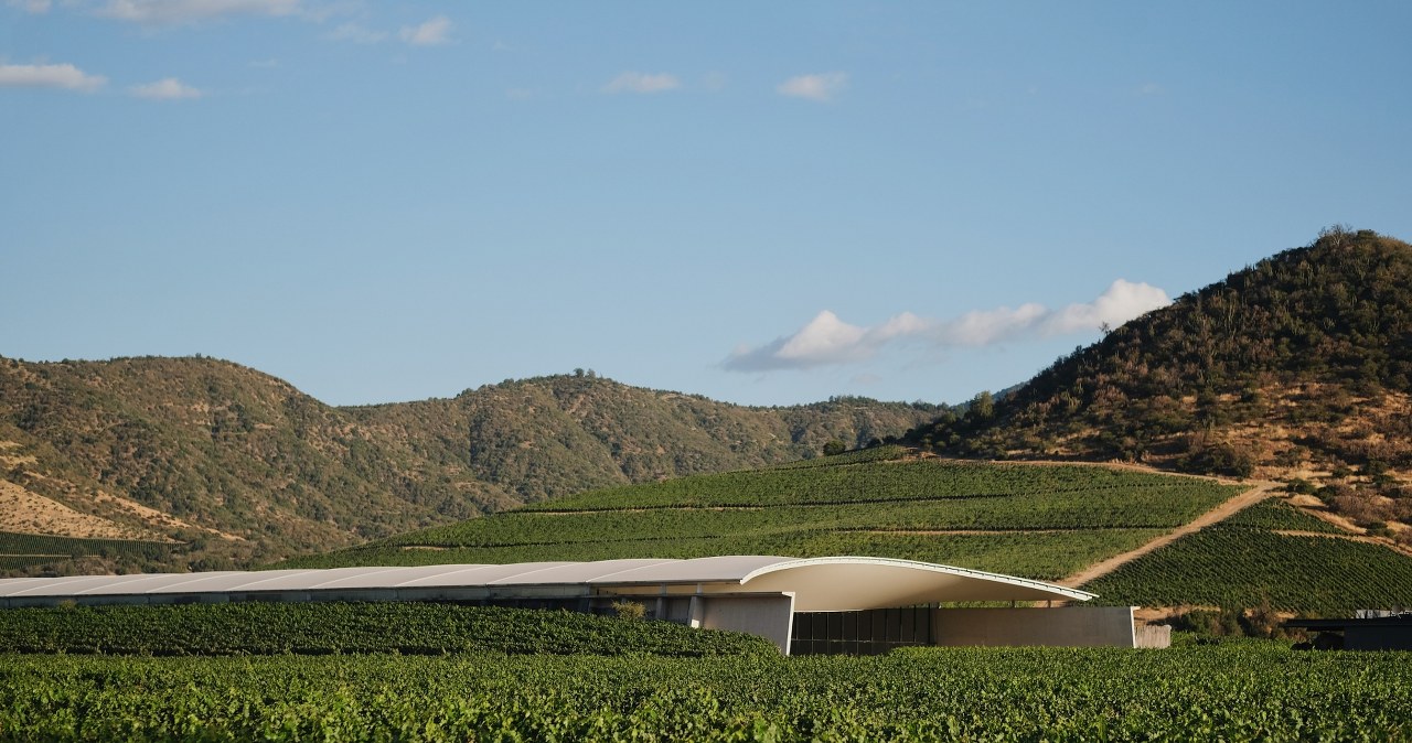 To najlepsza na świecie winnica. Nie leży w Hiszpanii, Francji czy we Włoszech