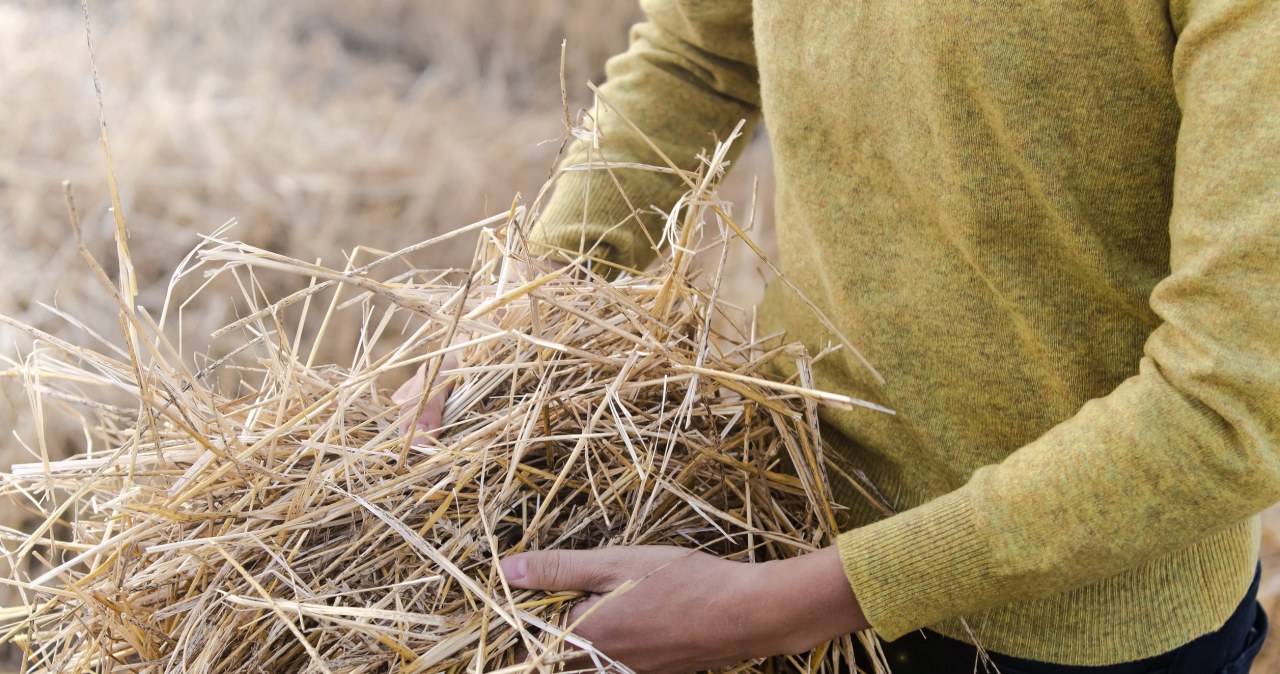 Zapomniany rytuał z alpejskich wiosek. Pomaga na bóle mięśni i stawów