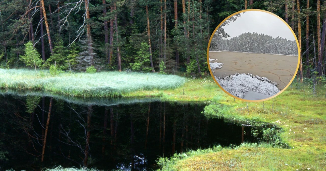 Polskie jezioro nagle zaczęło wyglądać jak hummus. „To nie fotomontaż”